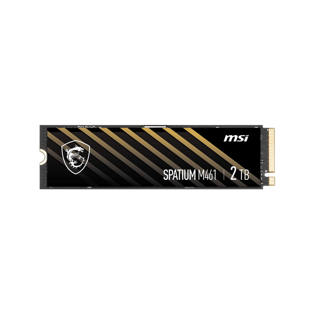 Msi Internal SSD M461 4TB