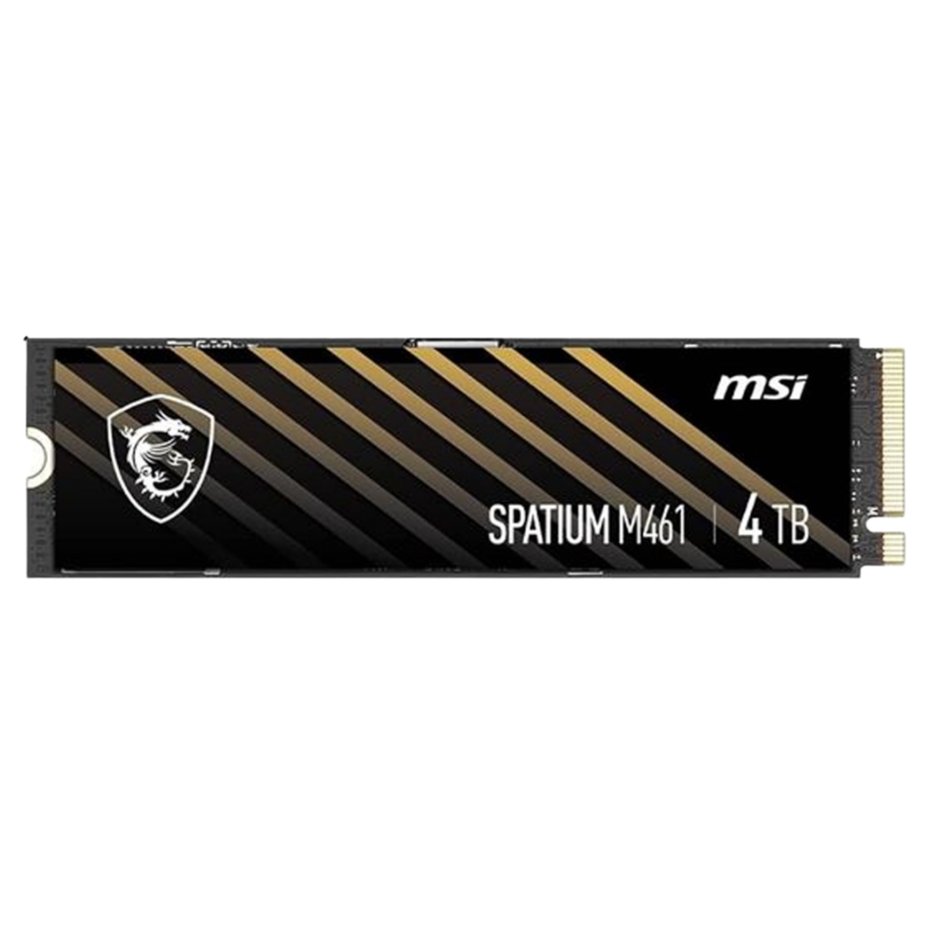 Msi Internal SSD M461 4TB
