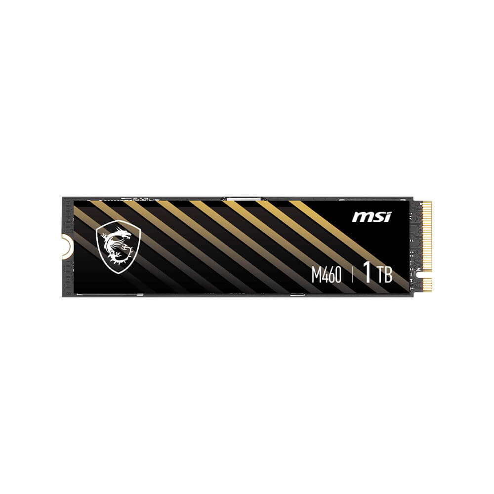 Msi Internal SSD M460 1TB