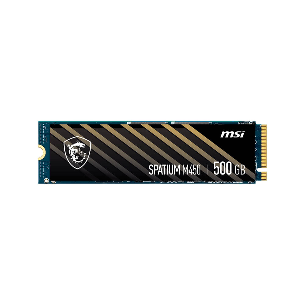 Msi Internal SSD M450 500GB