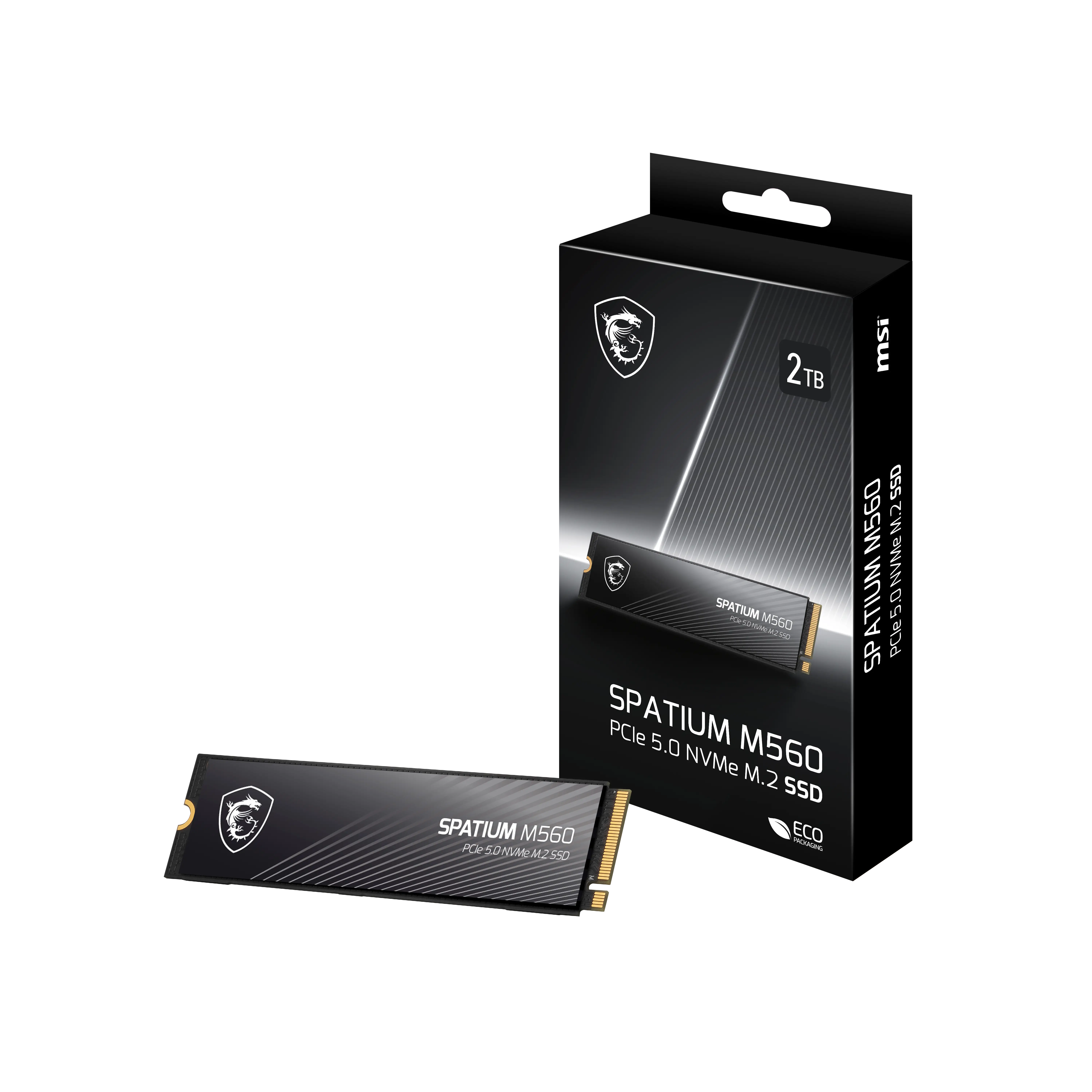 Msi Internal SSD M560 2TB