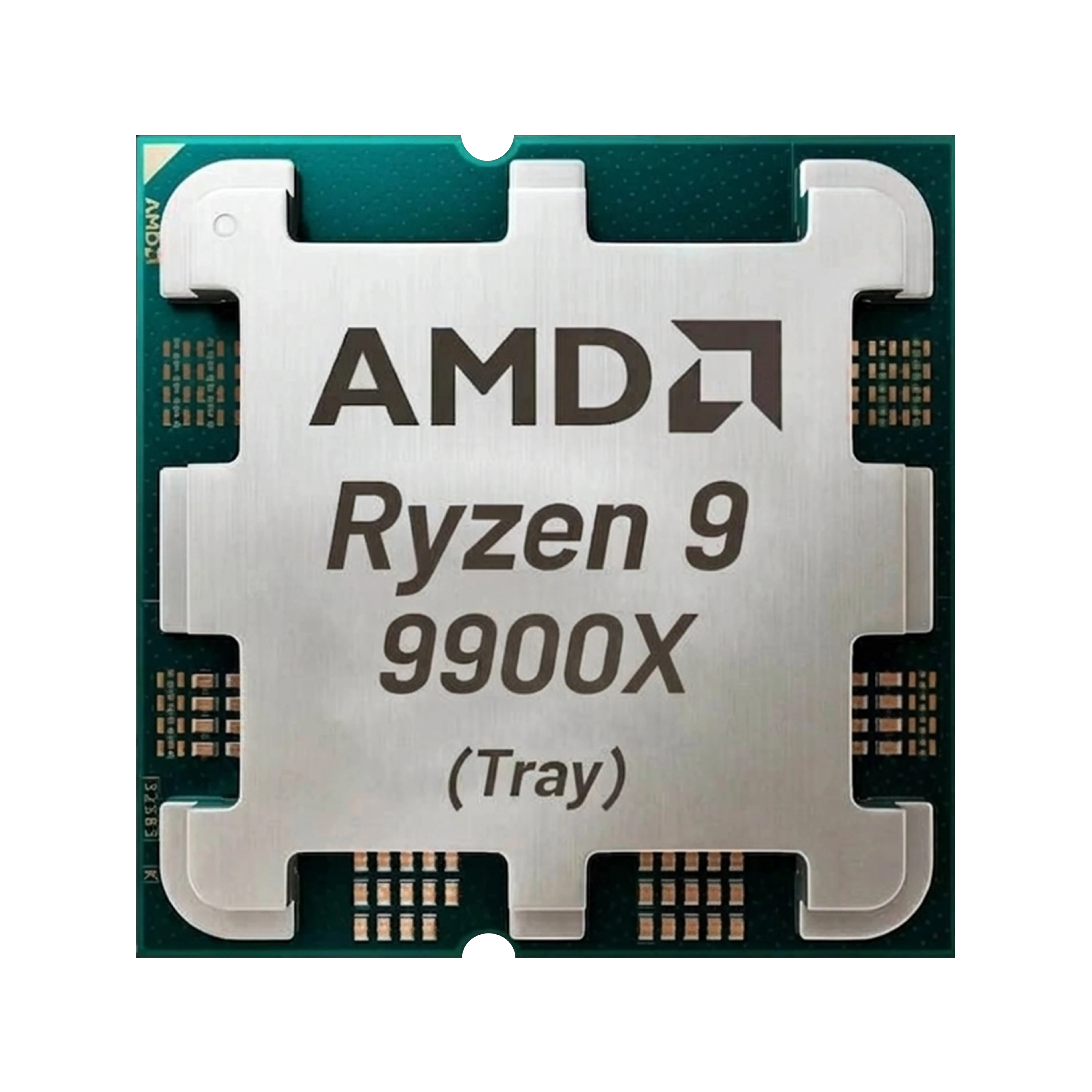 AMD Ryzen 9 9900X TRAY